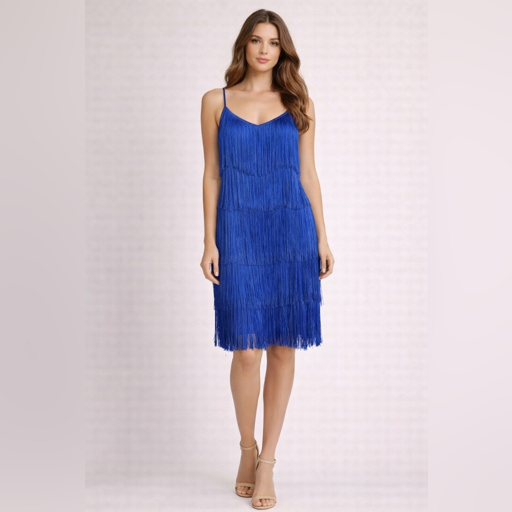 Riccardo 100% Silk Blue‎ Fringe Flapper Dress Gatsby Roaring 20s Party